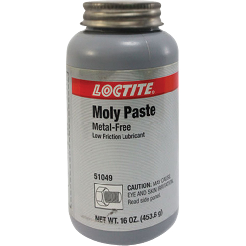 P&acirc;te en moly, 518 g, 750°F (400°C) temp&eacute;rature efficace max. Solutions industrielles ALPHA