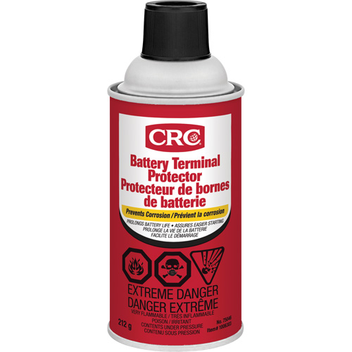 Battery Terminal Protector, Aerosol Can Solutions industrielles ALPHA