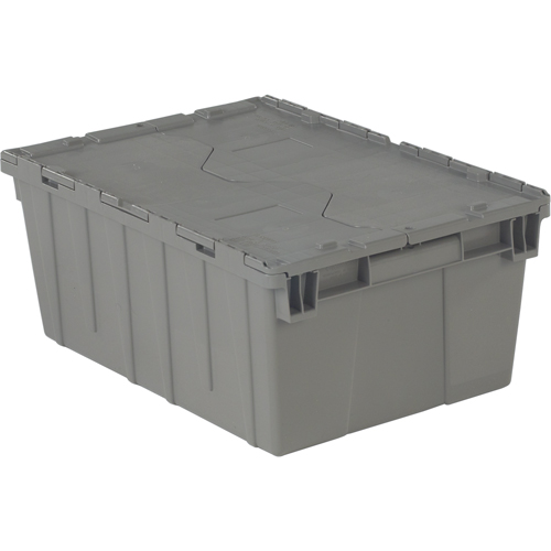 Flipak&reg; Polyethylene Plastic (PE) Distribution Containers, 21.9" x 15.2" x 9.3", Grey Solutions industrielles ALPHA