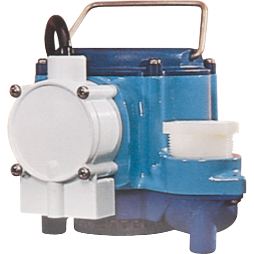Submersible Pumps, 1/3 HP, 46 GPH, 115 V, 9 A Solutions industrielles ALPHA