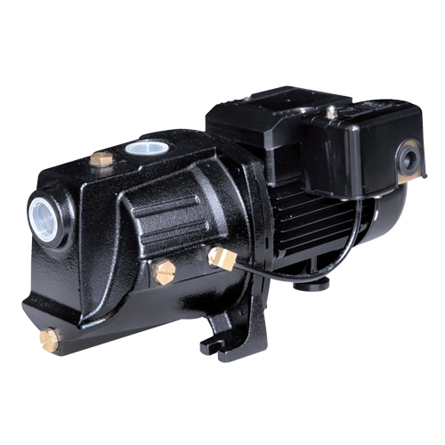 Dual Voltage Cast Iron Shallow Well Jet Pump, 230 V, 710 GPH, 1/2 HP Solutions industrielles ALPHA