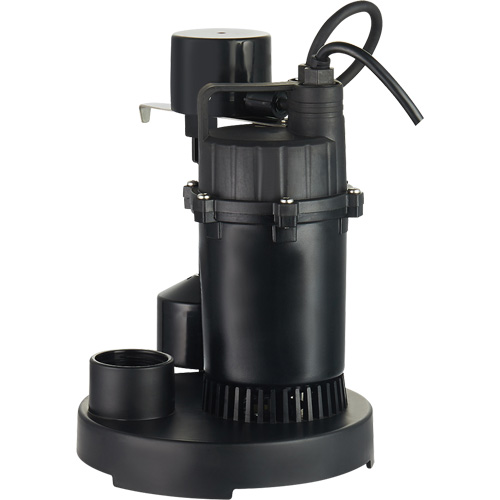 Pompe de puisard submersible thermoplastique, 2560 gal./h, 115 V, 4,6 A, 1/3 CV Solutions industrielles ALPHA