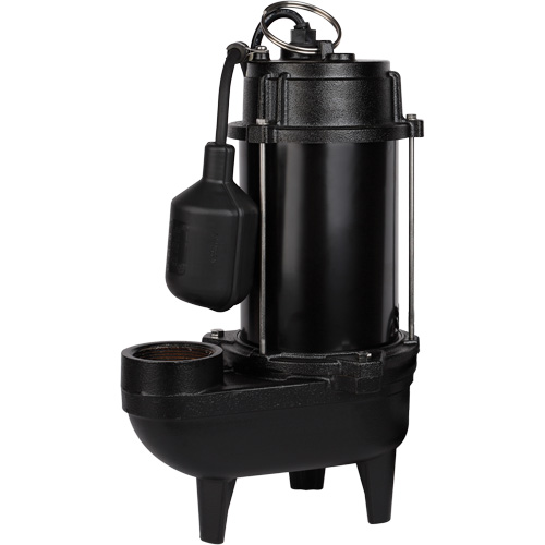 Pompe d'effluent en fonte, 4800 gal./h, 120 V, 7,8 A, 1/2 CV Solutions industrielles ALPHA