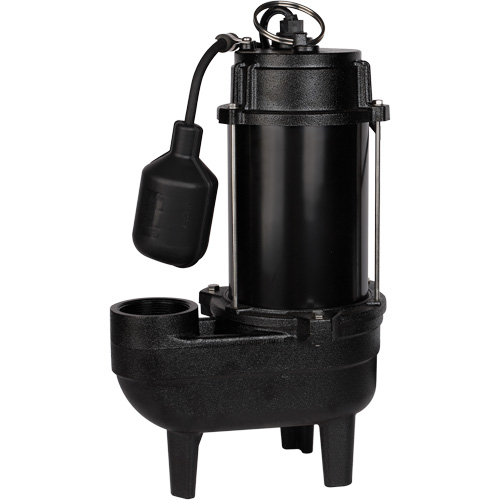 Cast Iron Sewage Pump, 120 V, 9.5 A, 6000 GPH, 1/2 HP Solutions industrielles ALPHA