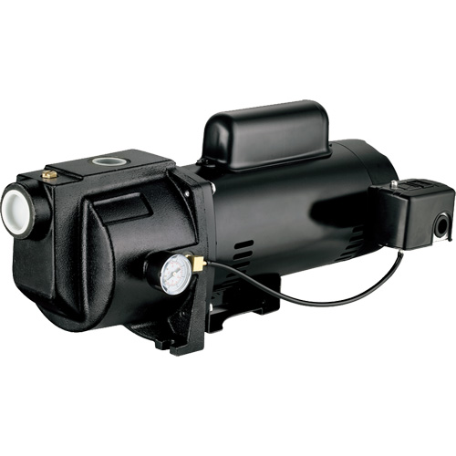 Pompe &agrave; jet en fonte &agrave; double tension pour puit peu profond, 115 V/230 V, 1260 gal./h, 1 CV Solutions industrielles ALPHA