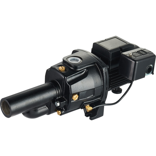 Dual Voltage Cast Iron Convertible Jet Pump, 115 V/230 V, 1400 GPH, 3/4 HP Solutions industrielles ALPHA