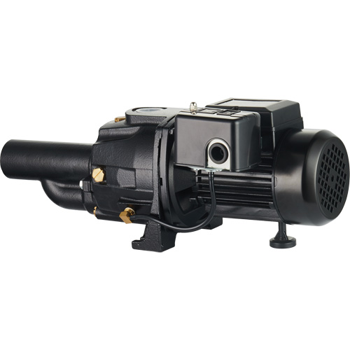 Dual Voltage Cast Iron Convertible Jet Pump, 115 V/230 V, 1400 GPH, 3/4 HP Solutions industrielles ALPHA