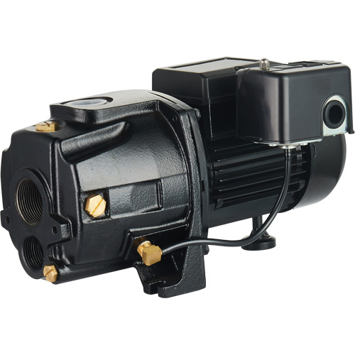 Dual Voltage Cast Iron Convertible Jet Pump, 115 V/230 V, 1400 GPH, 3/4 HP Solutions industrielles ALPHA
