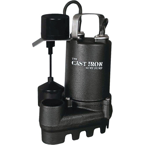 Pompe de puisard submersible en fonte avec interrupteur &agrave; flotteur vertical, 67 gal./min, 33 V, 5 A, 1/3 CV Solutions industrielles ALPHA