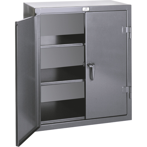 Counter Top Storage Cabinets, Steel, 2 Shelves, 36" H x 24" W x 20" D, Grey Solutions industrielles ALPHA