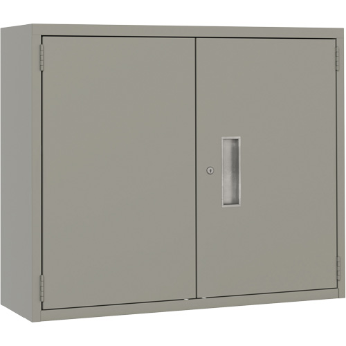 Wall Mounted Cabinet, Steel, 2 Shelves, 30" H x 36" W x 12" D, Grey Solutions industrielles ALPHA