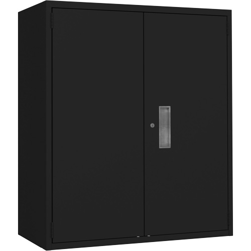 Lo-Boy Storage Cabinet, Steel, 2 Shelves, 42" H x 36" W x 18" D, Black Solutions industrielles ALPHA