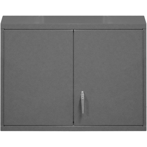 Wall-Mounted Cabinet, 27" H x 29-7/8" W x 13-11/16" D, 2 Shelves, Steel, Grey Solutions industrielles ALPHA