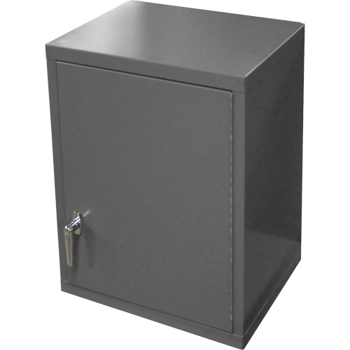 Wall-Mounted Cabinet, 27" H x 13-11/16" W x 18" D, 2 Shelves, Steel, Grey Solutions industrielles ALPHA