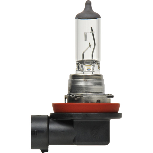H8 Basic Headlight Bulb, Halogen, 35 W, Off White Solutions industrielles ALPHA