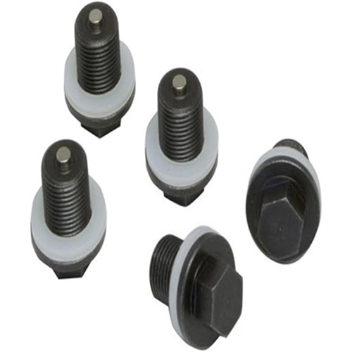 Set of 5 Plugs & Gaskets  Solutions industrielles ALPHA