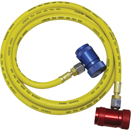 Ensemble flexible de rinçage pour syst&egrave;me de climatisation R1234yf Solutions industrielles ALPHA