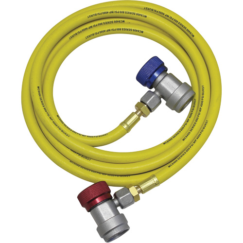 Ensemble flexible de rinçage pour syst&egrave;me de climatisation R134a Solutions industrielles ALPHA