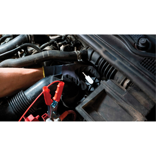 Pompette de purge de frein Brake-Pro &agrave; structure haute avec adaptateurs Solutions industrielles ALPHA