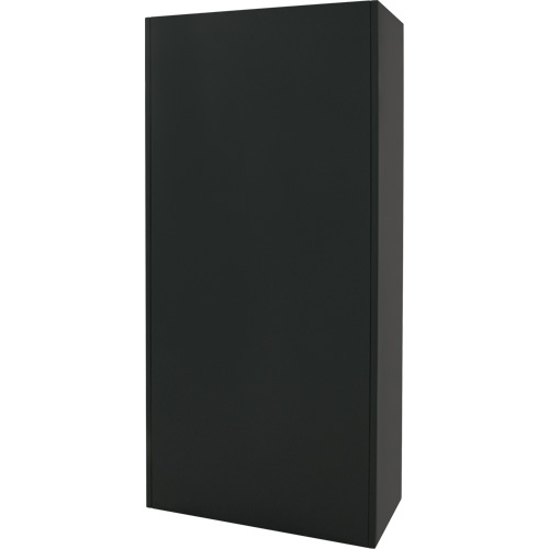 Armoire de rangement combin&eacute;e, 36" la x 18" p x 72" h, Noir Solutions industrielles ALPHA