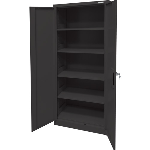 Armoire d'entreposage, Acier, 4 Tablettes, 66" h x 30" la x 15" P, Noir Solutions industrielles ALPHA