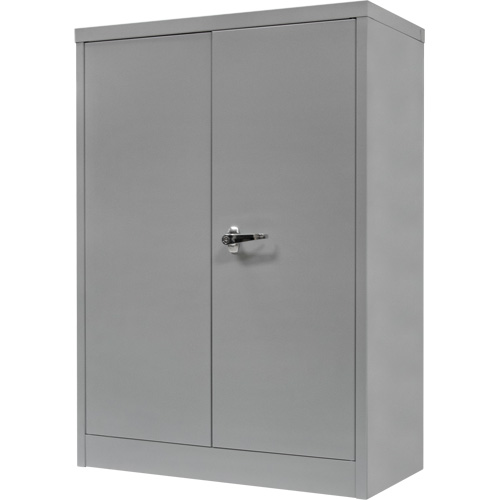 Counter-High Storage Cabinet, Steel, 2 Shelves, 42" H x 30" W x 15" D, Grey Solutions industrielles ALPHA