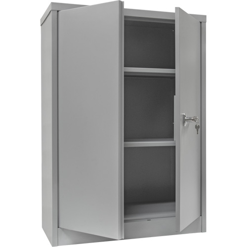 Counter-High Storage Cabinet, Steel, 2 Shelves, 42" H x 30" W x 15" D, Grey Solutions industrielles ALPHA