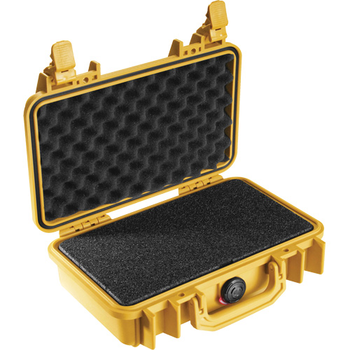 1170 Protector Case, Hard Case Solutions industrielles ALPHA