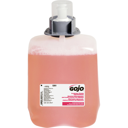 Savon pour les mains de luxe FMX-20, Mousse, 2 L, Parfum&eacute; Solutions industrielles ALPHA