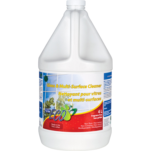 Nettoyant pour vitres & pour toutes surfaces, 4 L, Cruche Solutions industrielles ALPHA