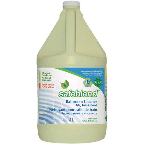Multi-Purpose Ready-to-Use Bathroom Cleaner, 4 L/4.0 L, Jug Solutions industrielles ALPHA
