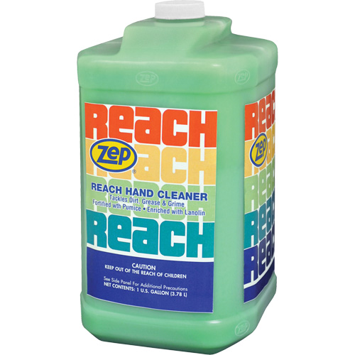 Reach Extra Heavy-Duty Hand Cleaner, Pumice, 3.78 L, Jug, Scented Solutions industrielles ALPHA