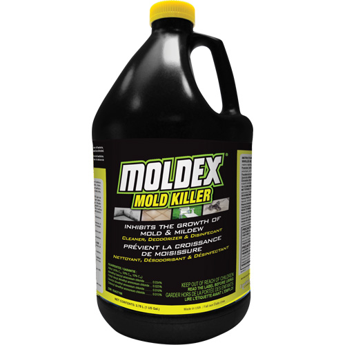 Moldex&reg; Mold Killer, 3.78 L, Jug Solutions industrielles ALPHA