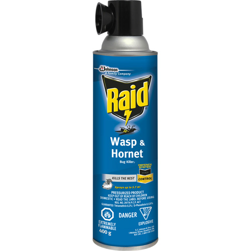 Insecticide contre les gu&ecirc;pes et les frelons Raid, 400 g, &agrave; base de solvant Solutions industrielles ALPHA