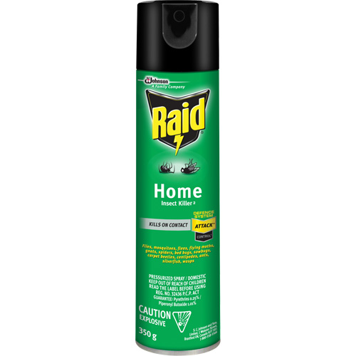 Raid&reg; Home Insect Killer, 350 g, Solvent Base Solutions industrielles ALPHA