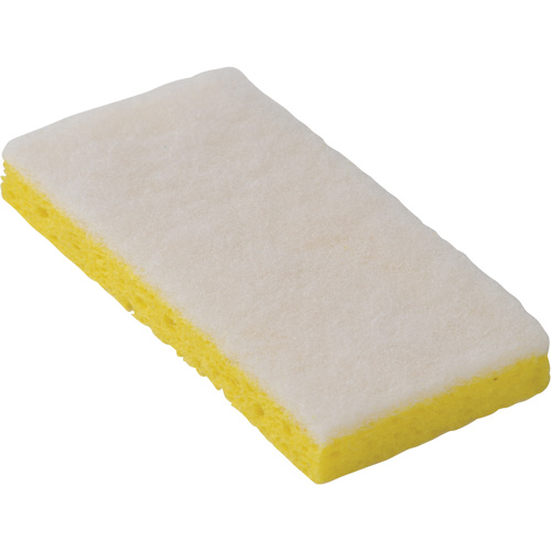 745W Light-Duty Scouring Sponges, 6-1/4" L x 3-1/5" W Solutions industrielles ALPHA