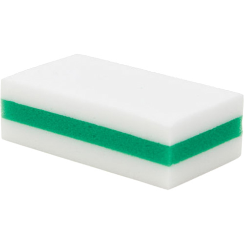 &eacute;ponge de nettoyage eXpunge Plus, &agrave; r&eacute;curer, 3-3/8" la x 6-1/4" l Solutions industrielles ALPHA