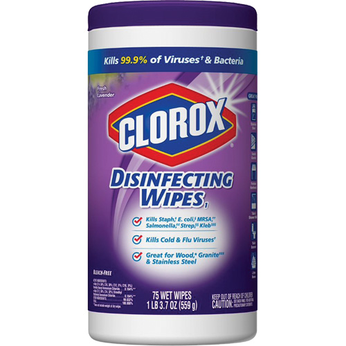 Disinfecting Wipes, 75 Count Solutions industrielles ALPHA