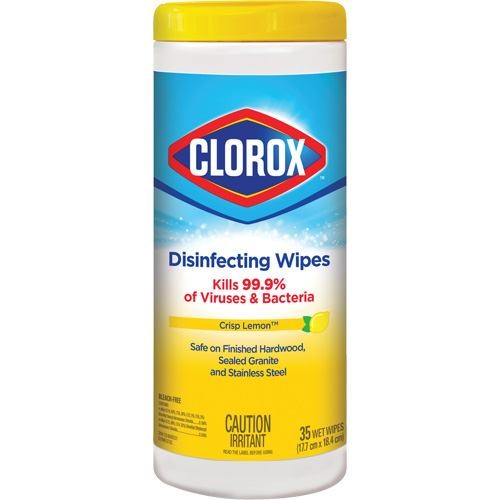 Disinfecting Wipes, 35 Count Solutions industrielles ALPHA