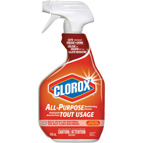 Nettoyant d&eacute;sinfectant tout usage &agrave; pulv&eacute;riser, 946 ml, Bouteille &agrave; g&acirc;chette Solutions industrielles ALPHA
