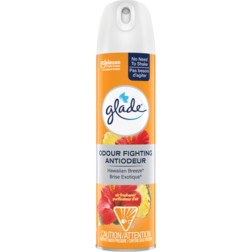 Assainisseur dair, Brise exotique, Canette a&eacute;rosol Solutions industrielles ALPHA