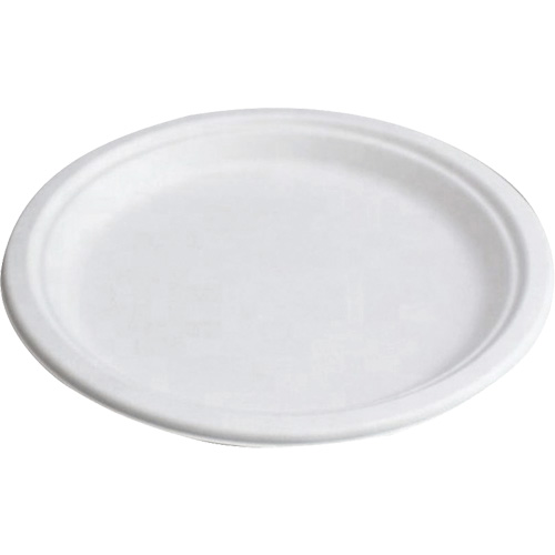 Assiettes compostables Solutions industrielles ALPHA