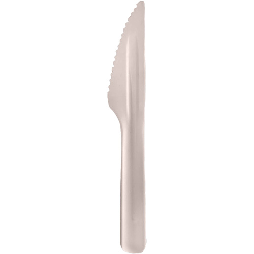 Bagasse Compostable Knives Solutions industrielles ALPHA