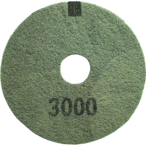 3000 Grit Floor Pad, 17", Scrubbing/Stripping, Black Solutions industrielles ALPHA