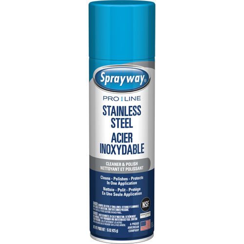 Nettoyant & polis pour acier inoxydable Pro Line, 15 oz, Canette a&eacute;rosol Solutions industrielles ALPHA