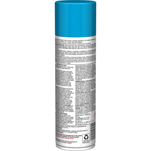 Nettoyant tout usage Pro Line Crazy Clean, 19 oz., Canette a&eacute;rosol Solutions industrielles ALPHA