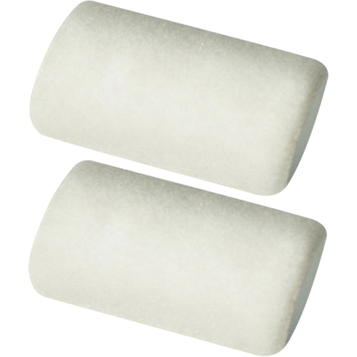 Professional Roller Sleeves, 9.525 mm (3/8") Nap, 101.6 mm (4") L Solutions industrielles ALPHA