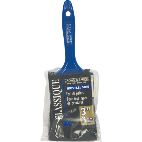 Pinceau classique, Soies, Manche Plastique, Largeur de 3" Solutions industrielles ALPHA