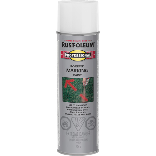 Inverted Marking Paint Spray, 426 g, Aerosol Can Solutions industrielles ALPHA