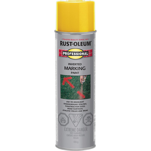 Peinture de marquage renvers&eacute; en a&eacute;rosol, 426 g, Canette a&eacute;rosol Solutions industrielles ALPHA